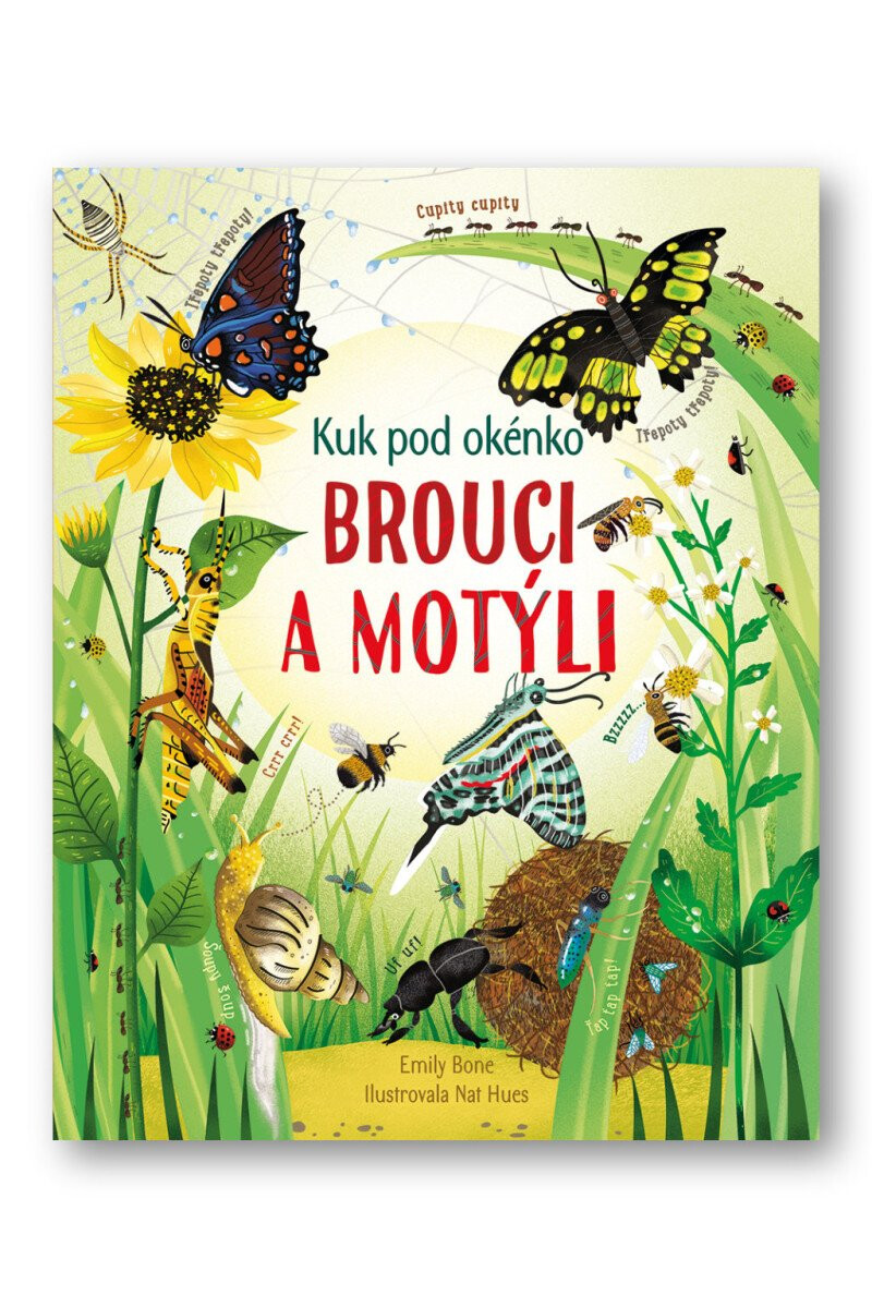 Kniha Brouci a motýli - Kuk pod okénko