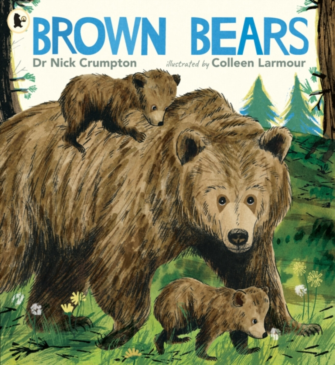 Kniha Brown Bears