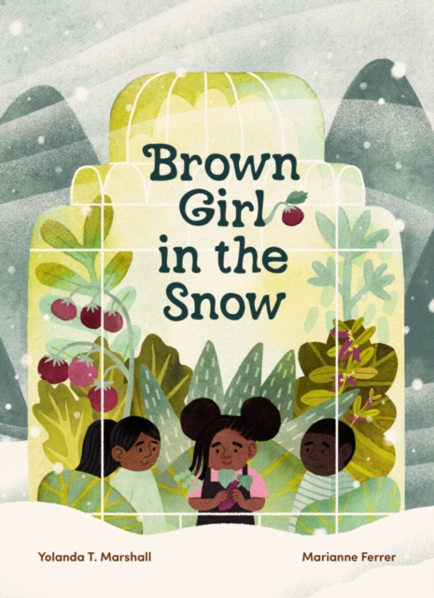 Kniha Brown Girl in the Snow