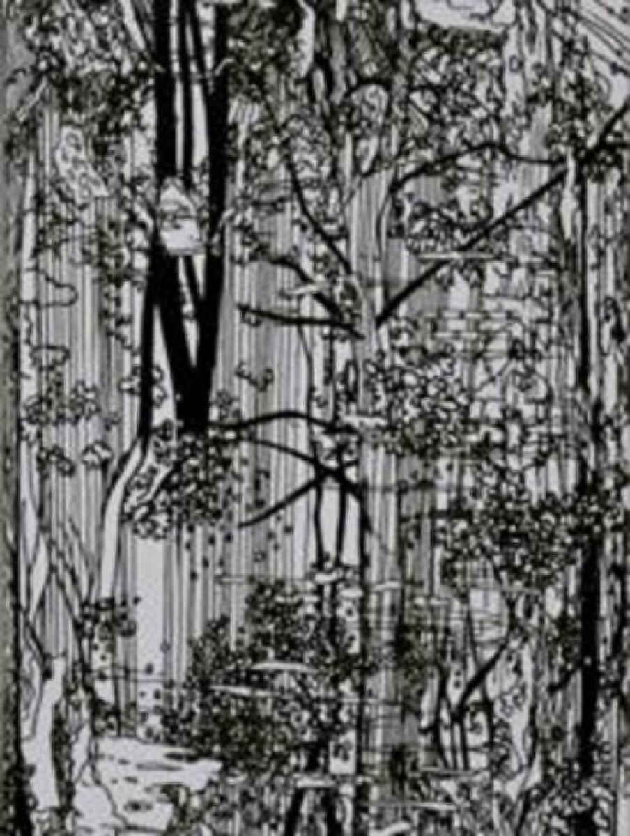 Bucherwald - Ingo Giezwndanner