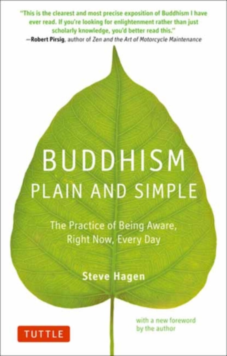 Buddhism Plain and Simple