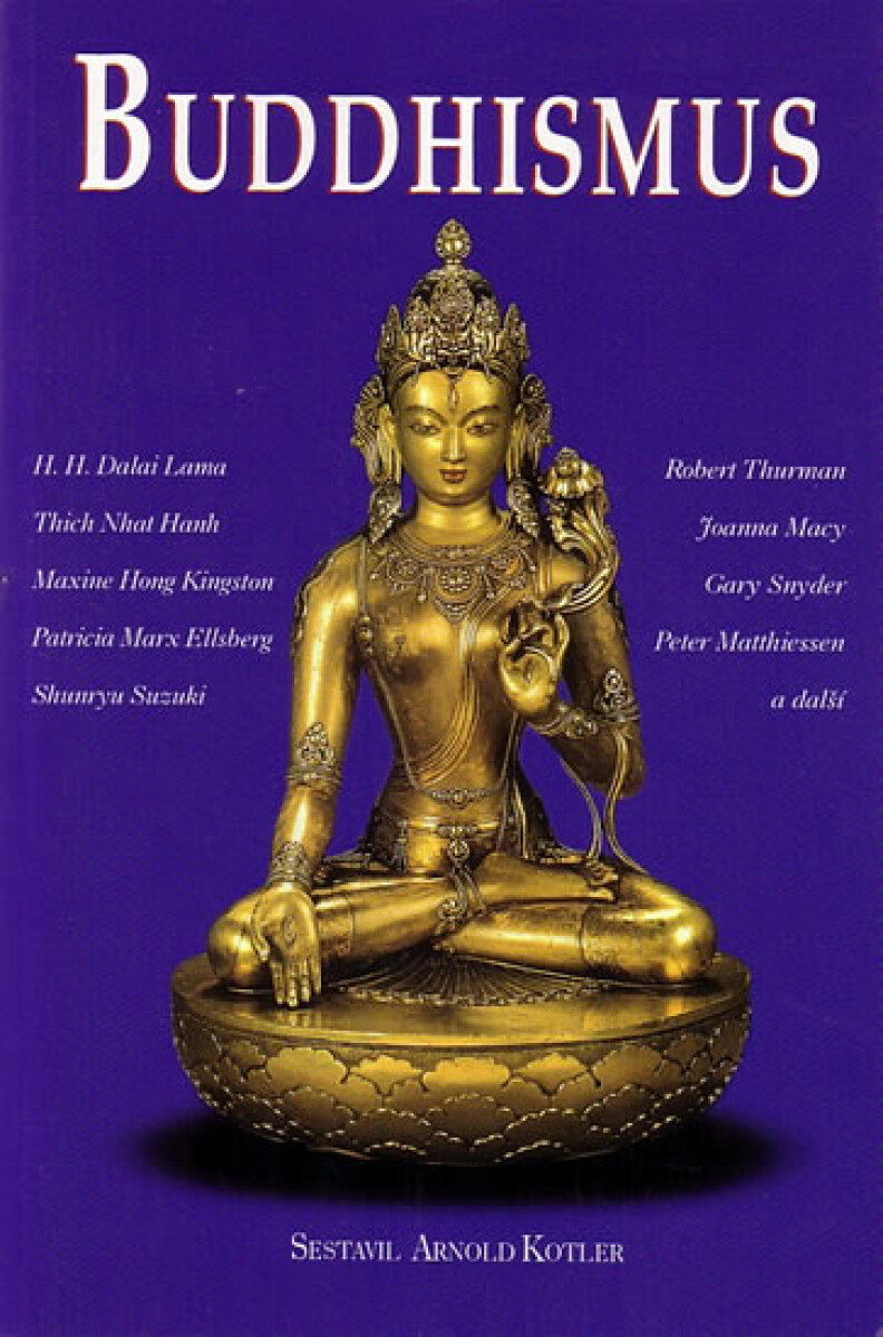 Kniha Buddhismus (poškozená)