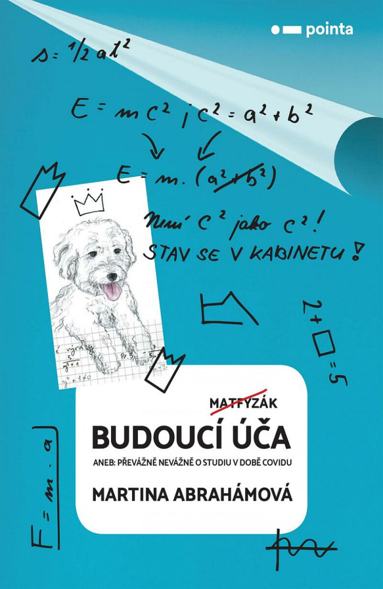 Budoucí úča aneb Převážně nevážně o studiu v době covidu