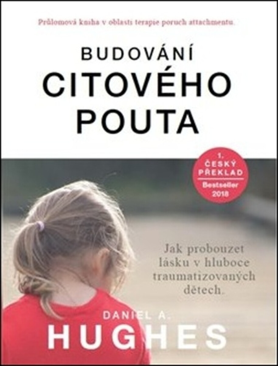 Levně Budování citového pouta - Daniel A. Hughes