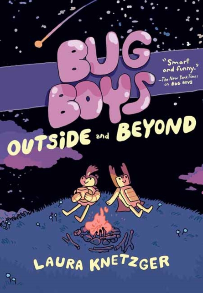 Kniha Bug Boys: Outside and Beyond