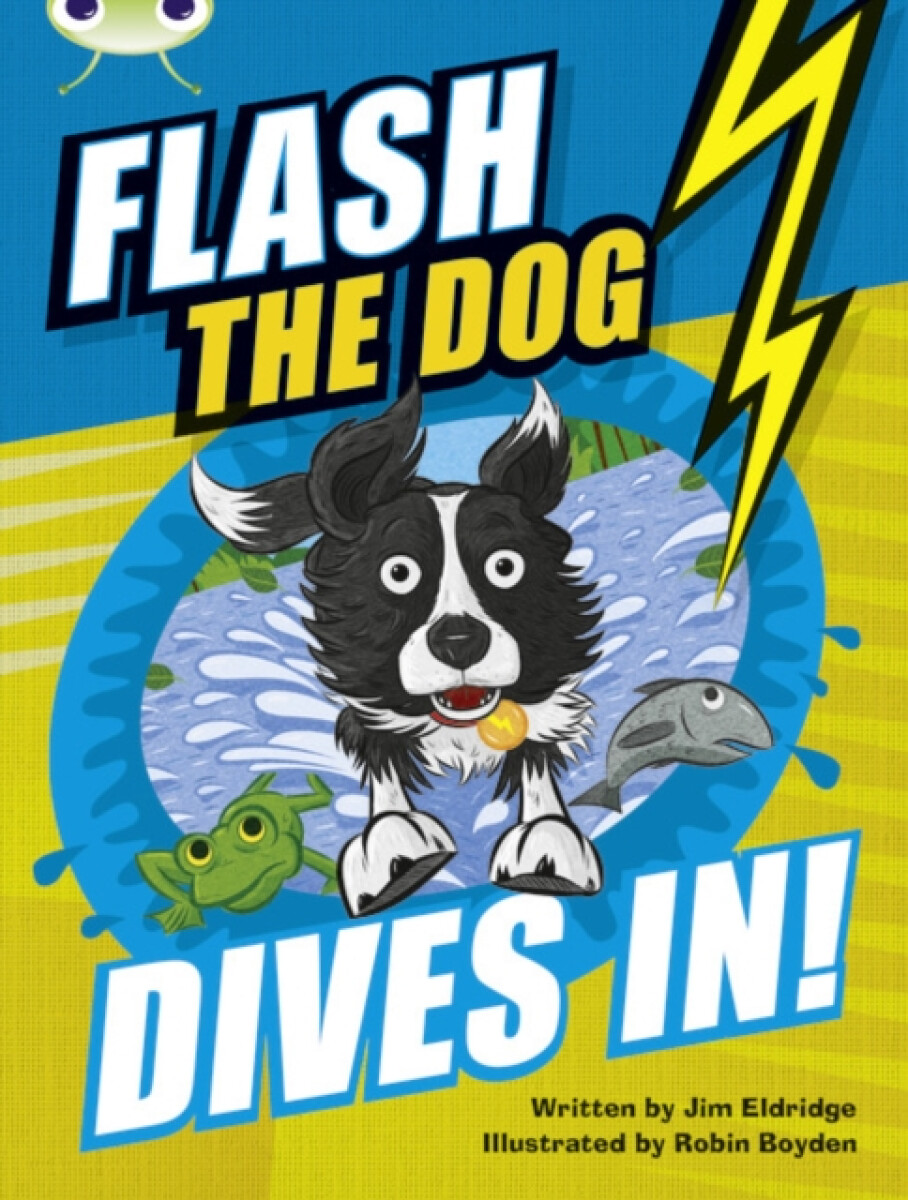 Kniha Bug Club Independent Fiction Year 3 Brown B Flash the Dog Dives In!