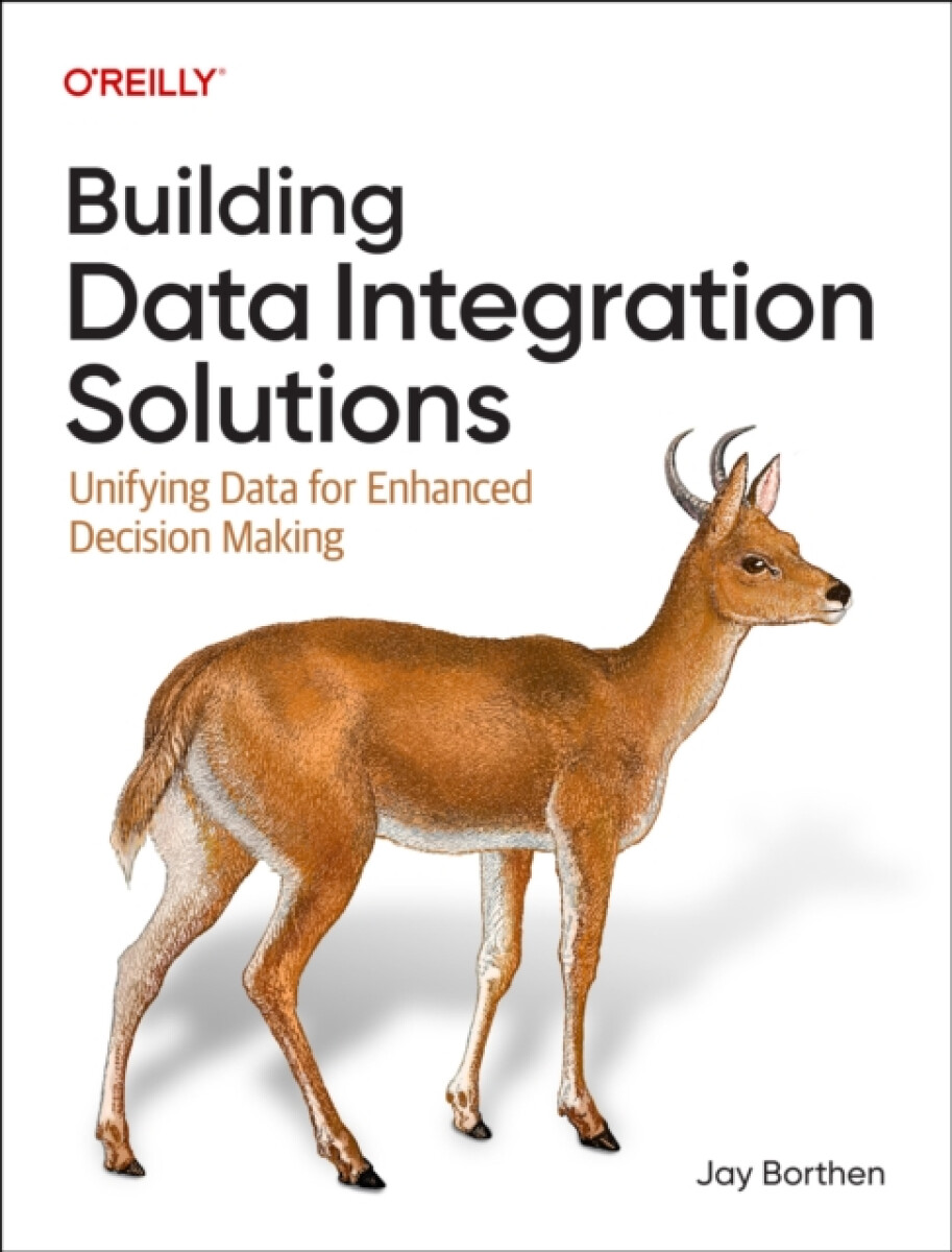 Kniha Building Data Integration Solutions