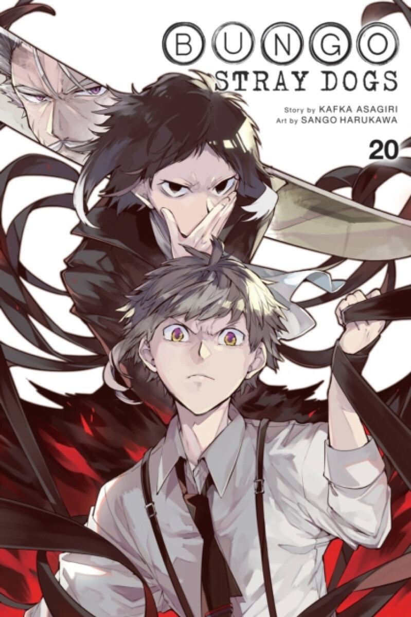Kniha Bungo Stray Dogs 20