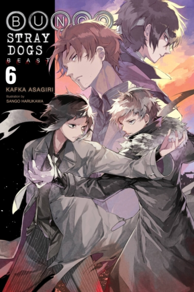 Kniha Bungo Stray Dogs, Vol. 6 (light novel)
