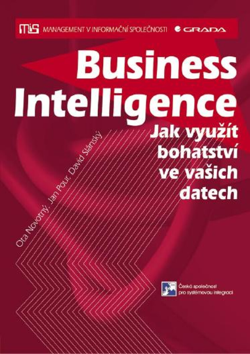 Business Intelligence - Jan Pour, Ota Novotný, Slánský David