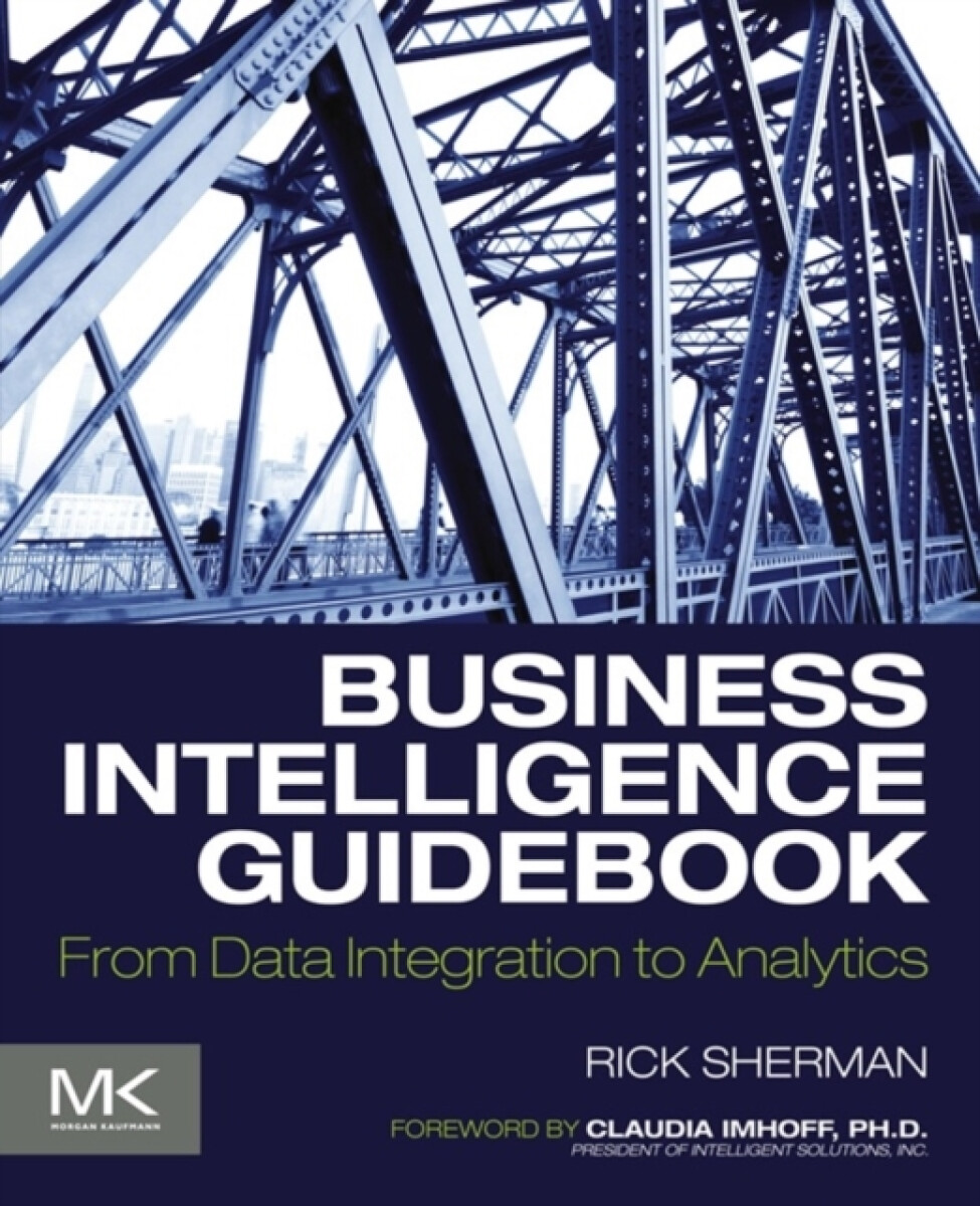 Kniha Business Intelligence Guidebook