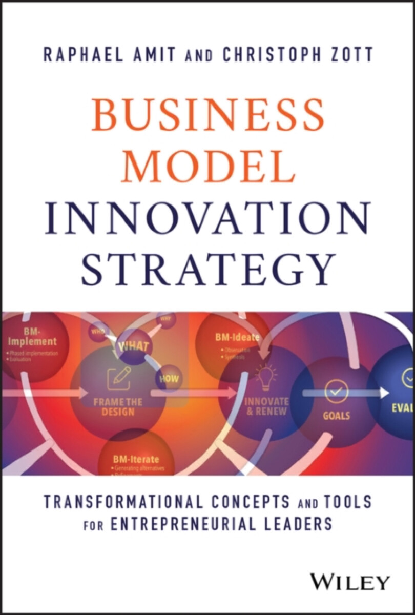 Kniha Business Model Innovation Strategy