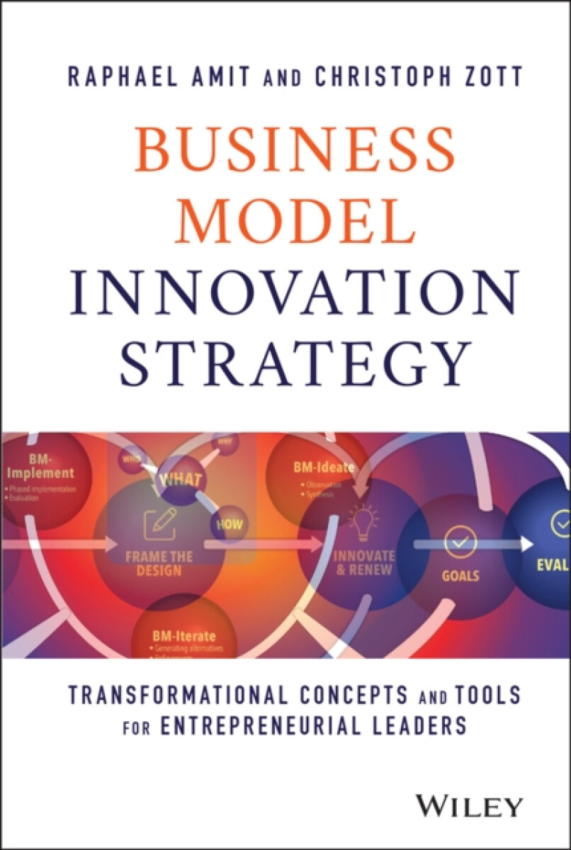 Kniha Business Model Innovation Strategy