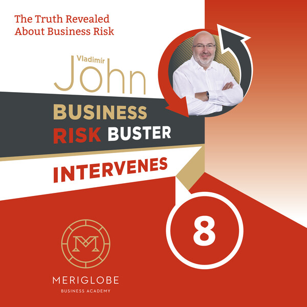 Levně Business Risk Buster Intervenes 8 - Vladimír John - audiokniha