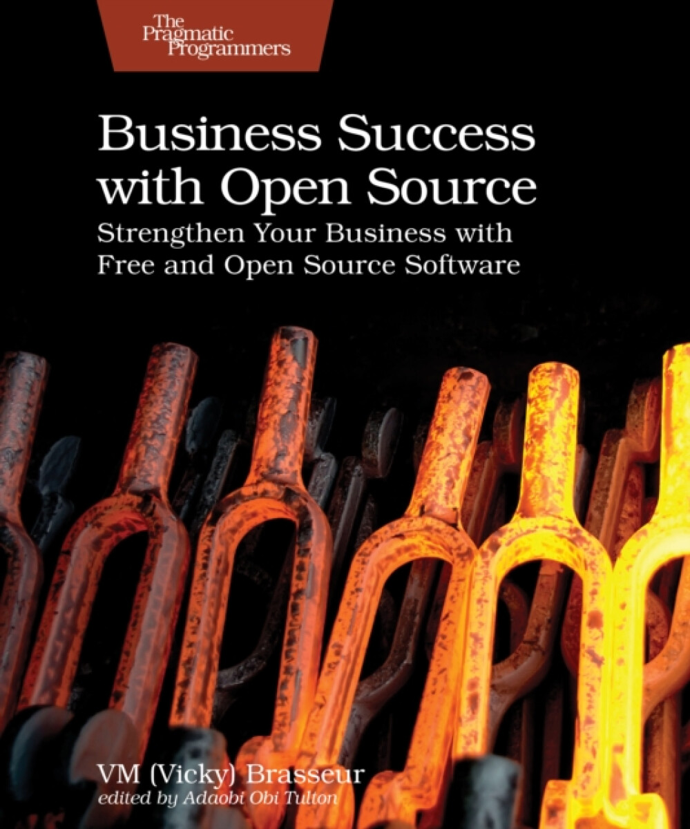 Kniha Business Success with Open Source