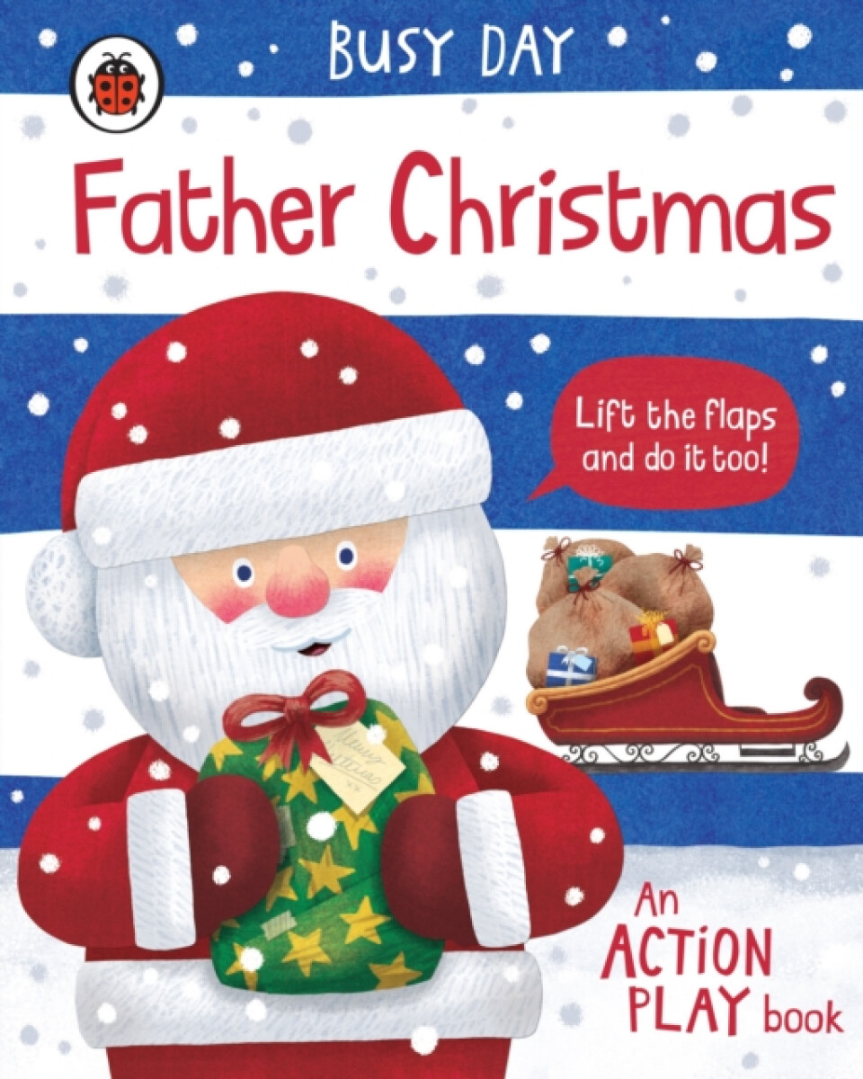 Kniha Busy Day: Father Christmas