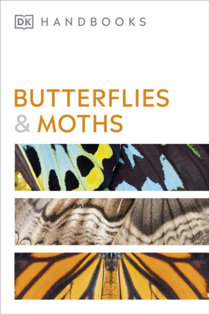 Kniha Butterflies and Moths