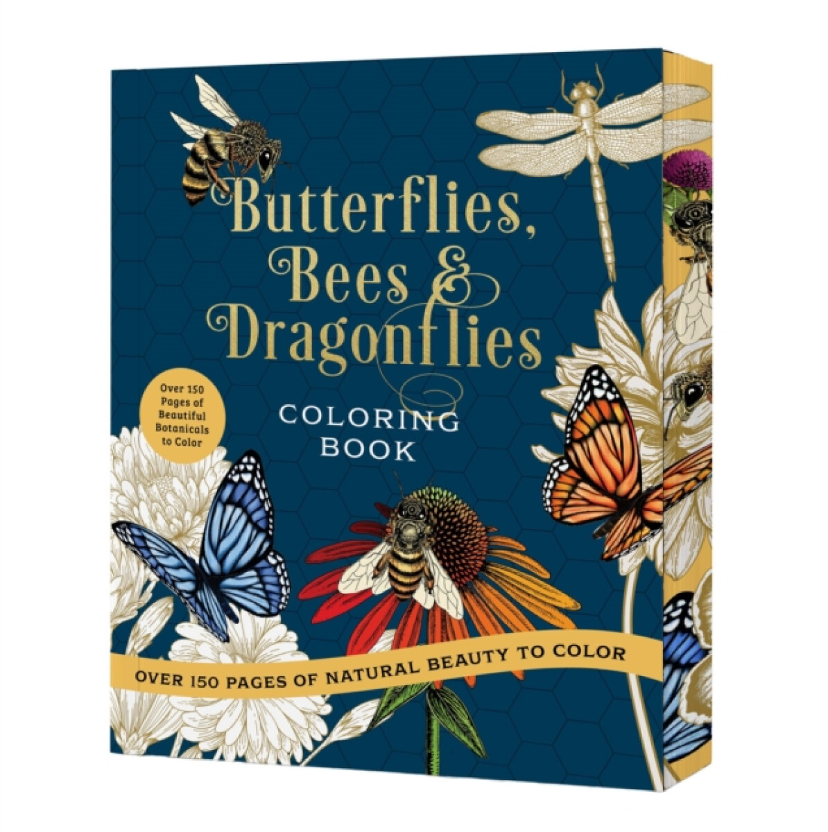 Kniha Butterflies, Bees a Dragonflies Coloring Book