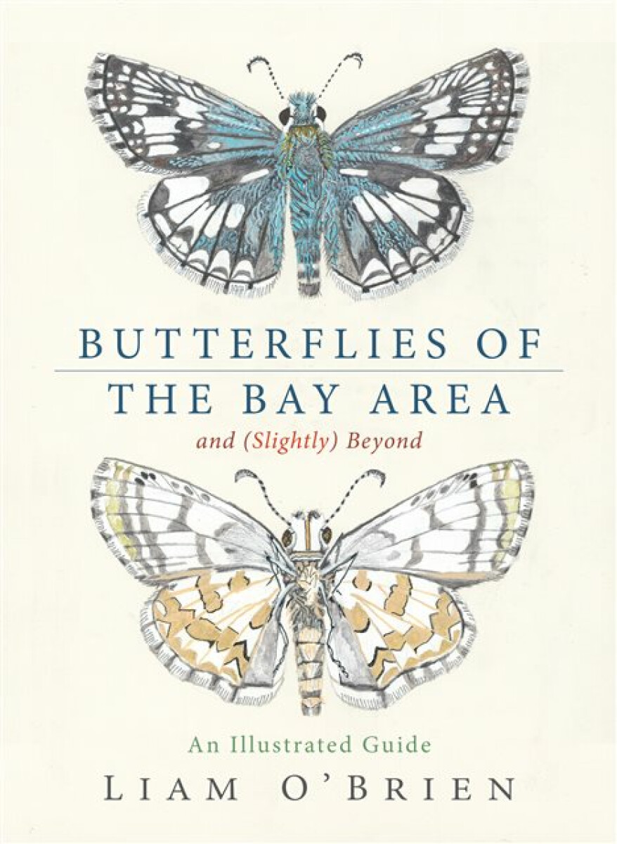 Kniha Butterflies of the Bay Area and (Slightly) Beyond