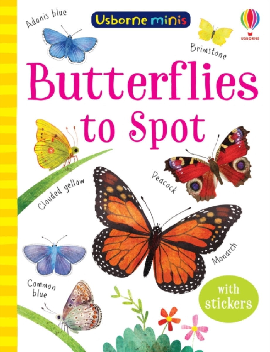 Kniha Butterflies to Spot