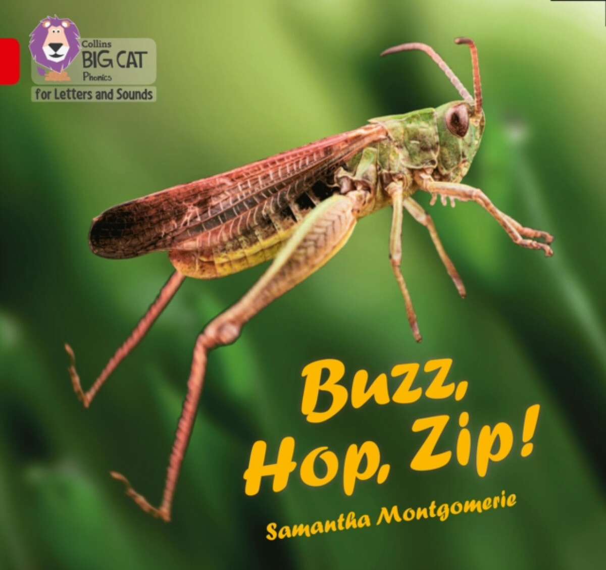 Kniha Buzz, Hop, Zip!