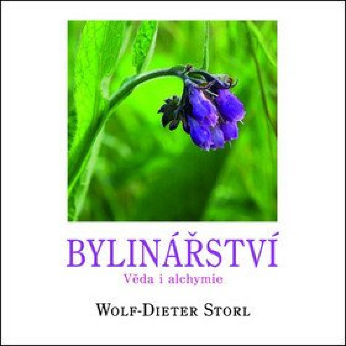 Kniha Bylinářství - Věda i alchymie
