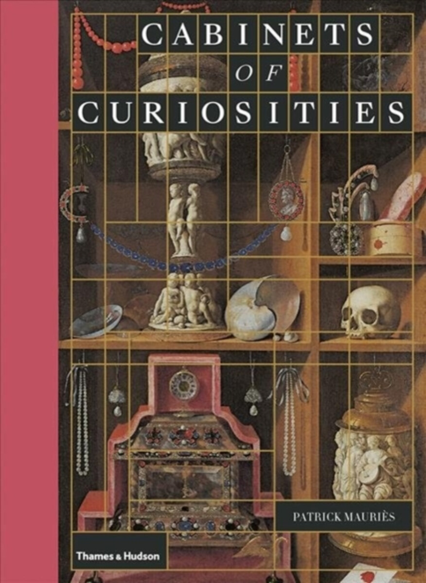 Kniha Cabinets of Curiosities