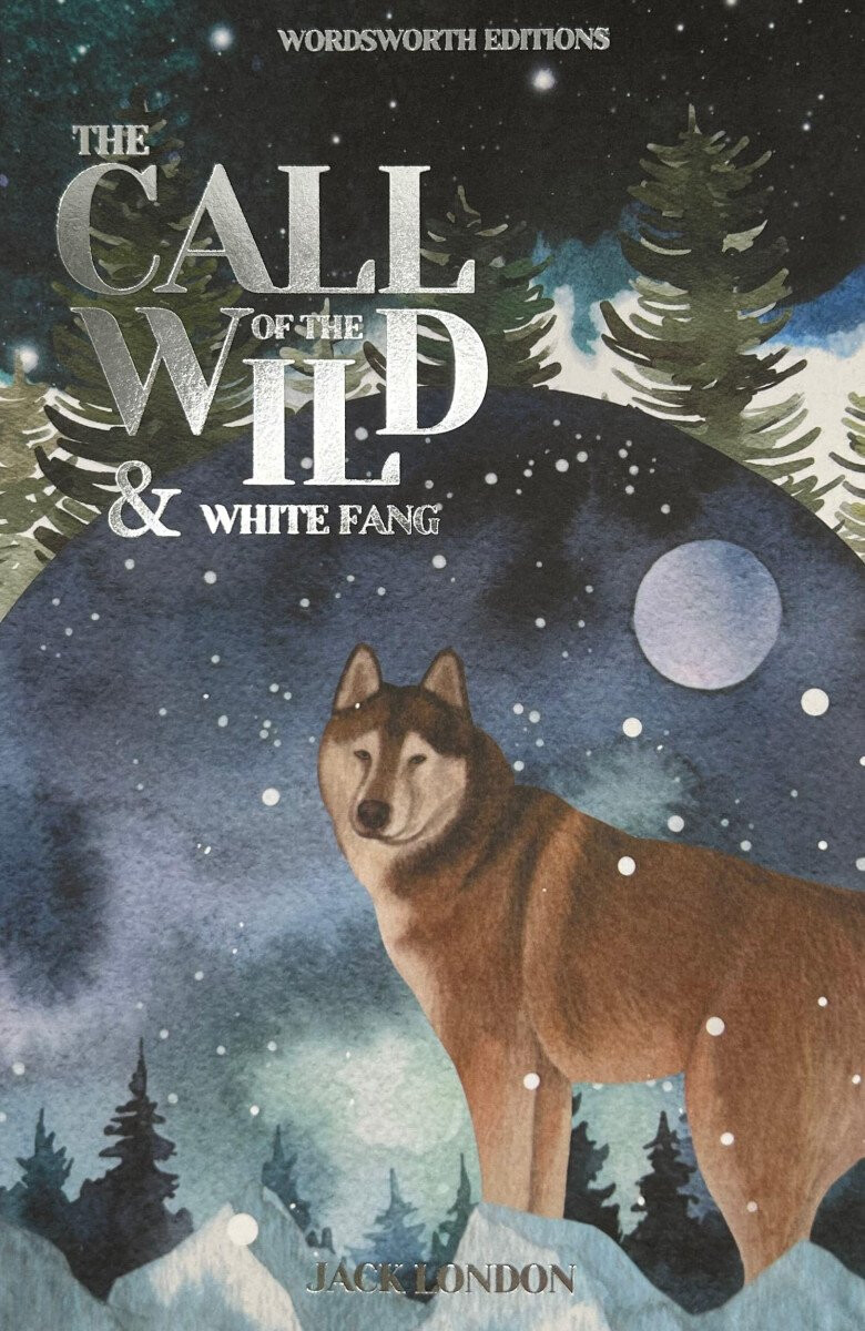 Kniha The Call of the Wild & White Fang