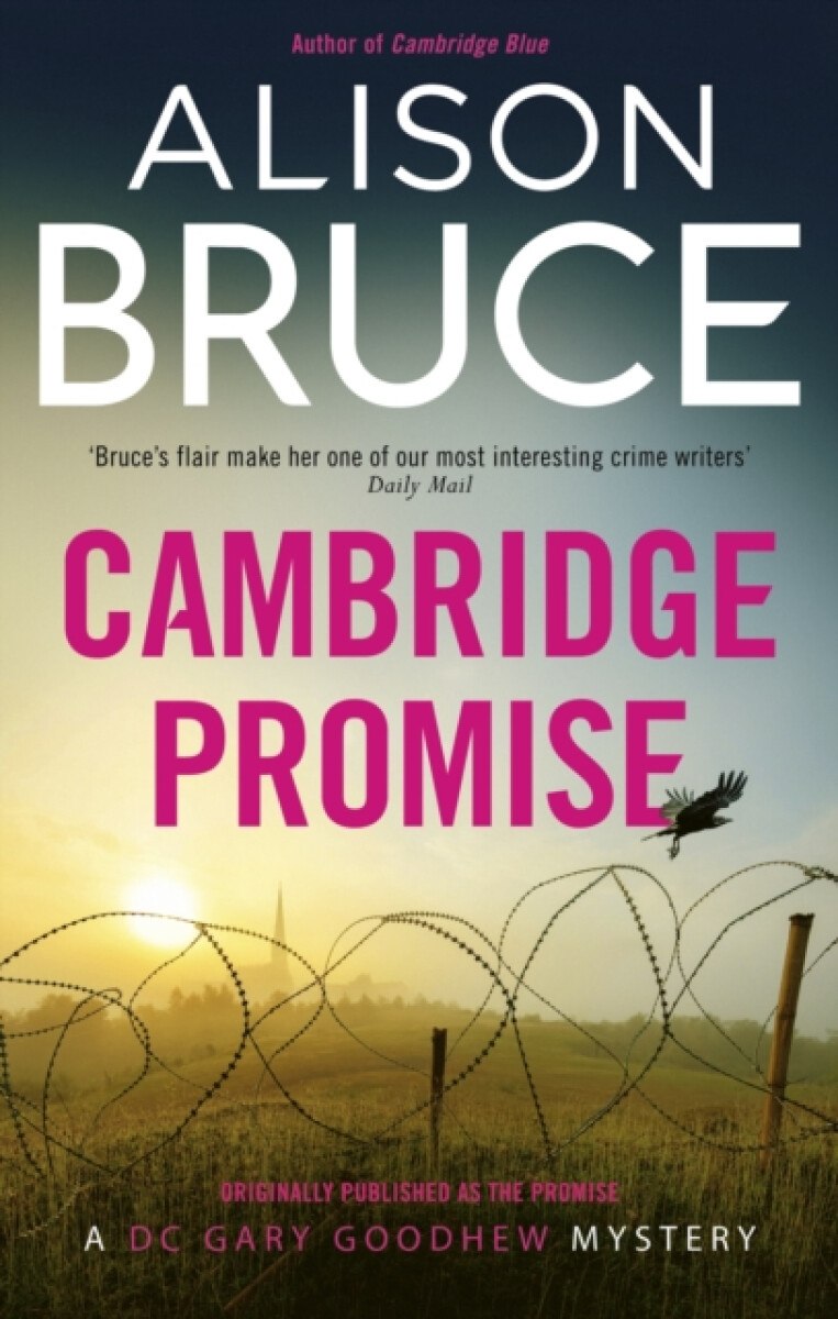 Kniha Promise