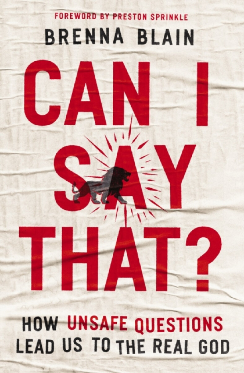 Kniha Can I Say That?