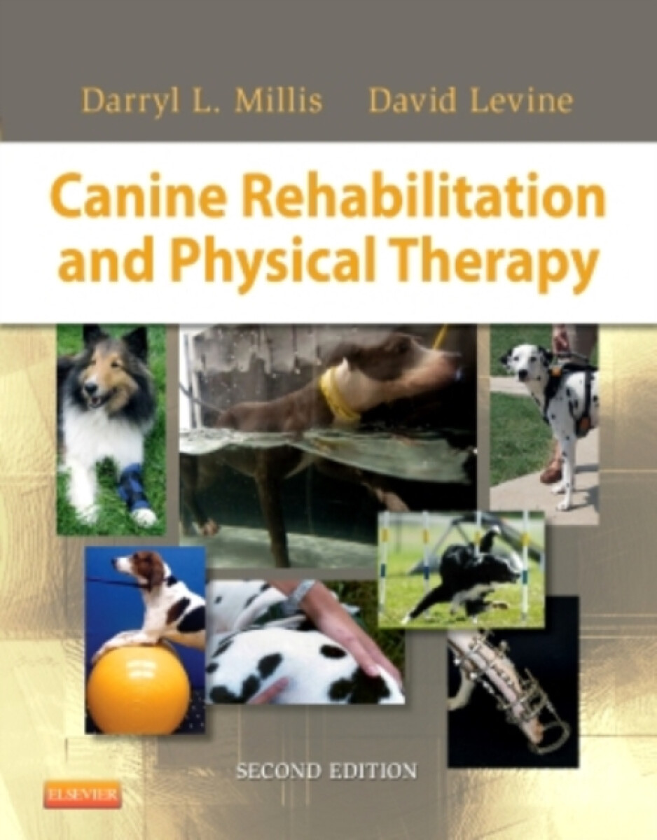 Kniha Canine Rehabilitation and Physical Therapy