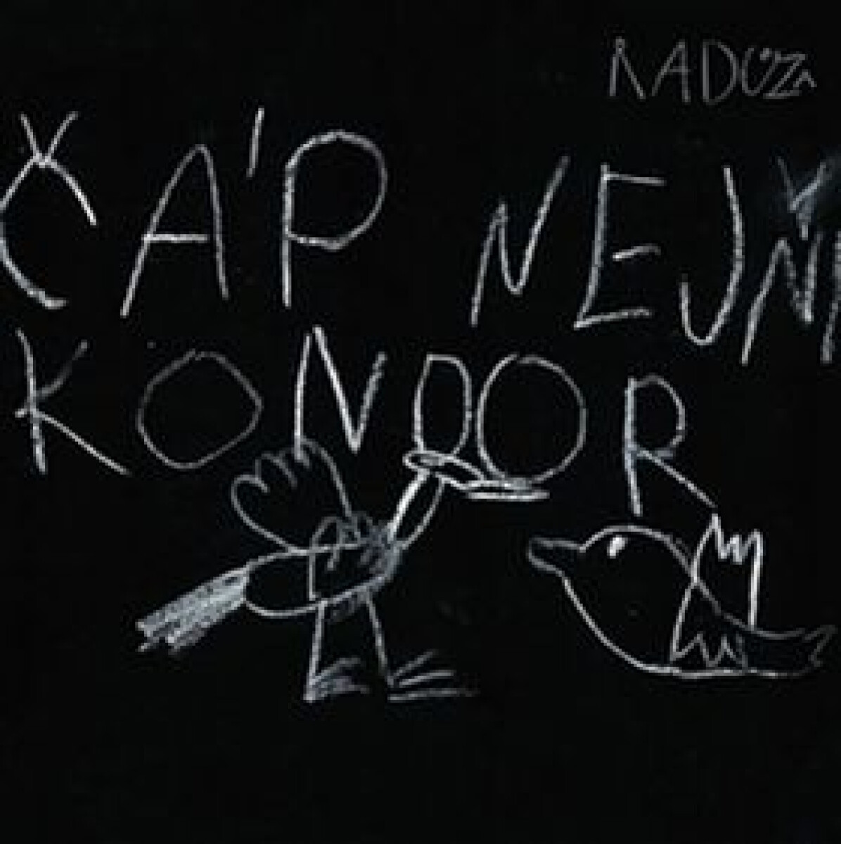 Kniha Čáp nejni kondor