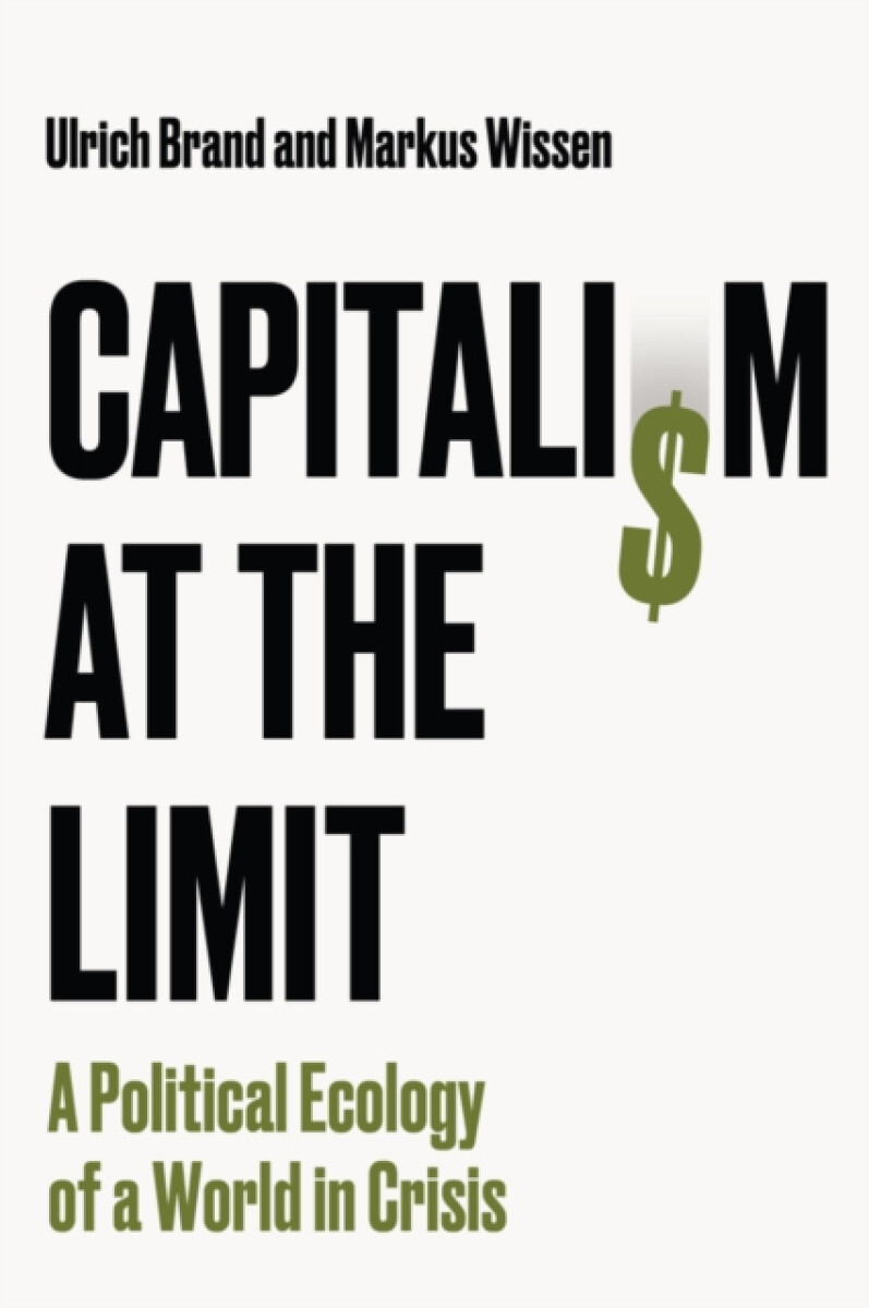 Kniha Capitalism at the Limit