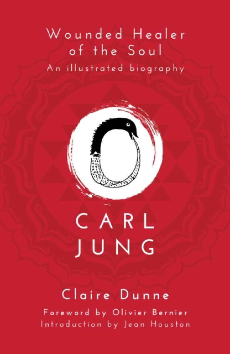 Kniha Carl Jung: Wounded Healer of the Soul