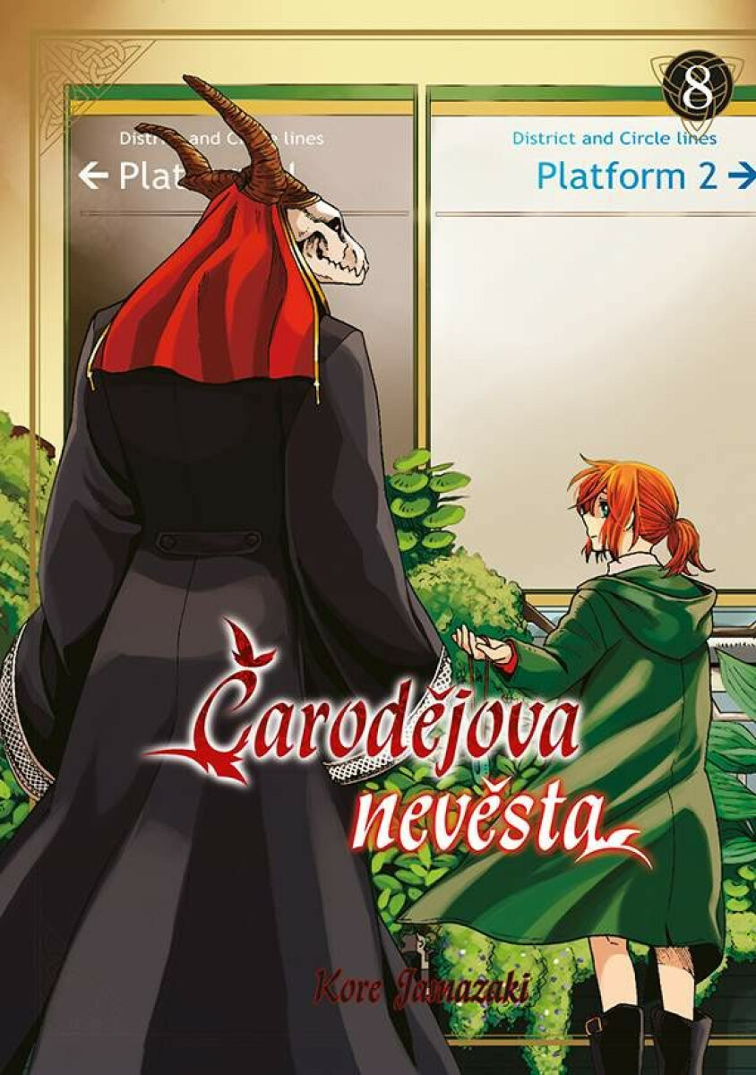 Kniha Čarodějova nevěsta 8