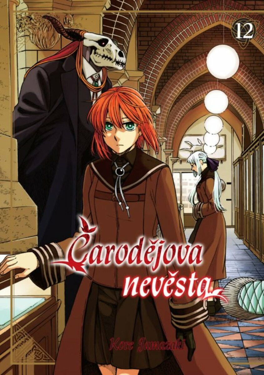 Kniha Čarodějova nevěsta 12