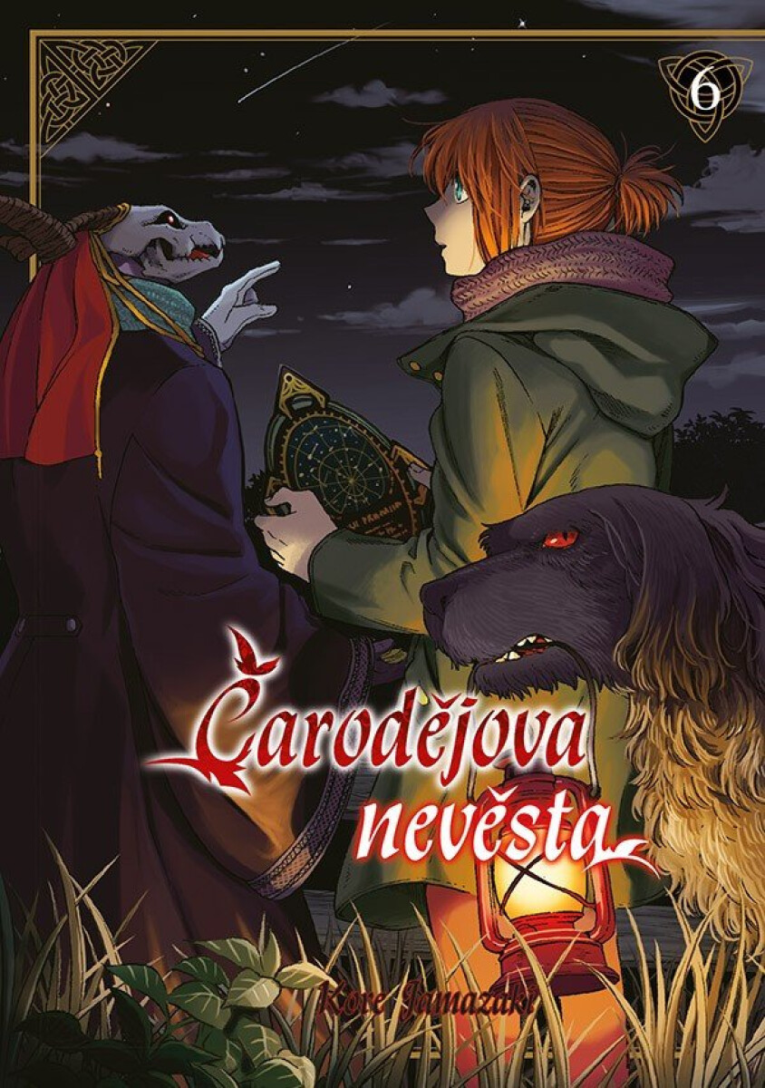 Kniha Čarodějova nevěsta 6