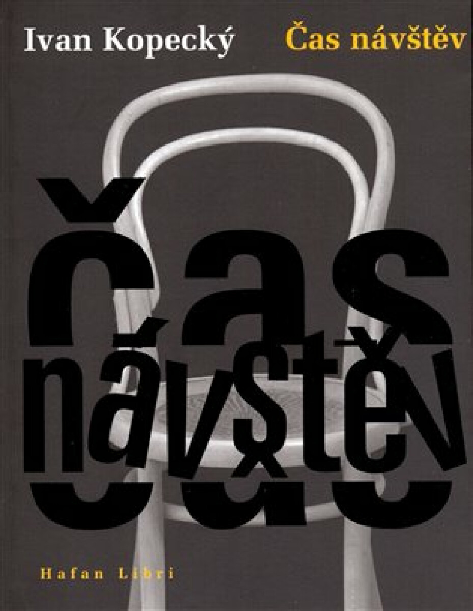 Kniha Čas návštěv