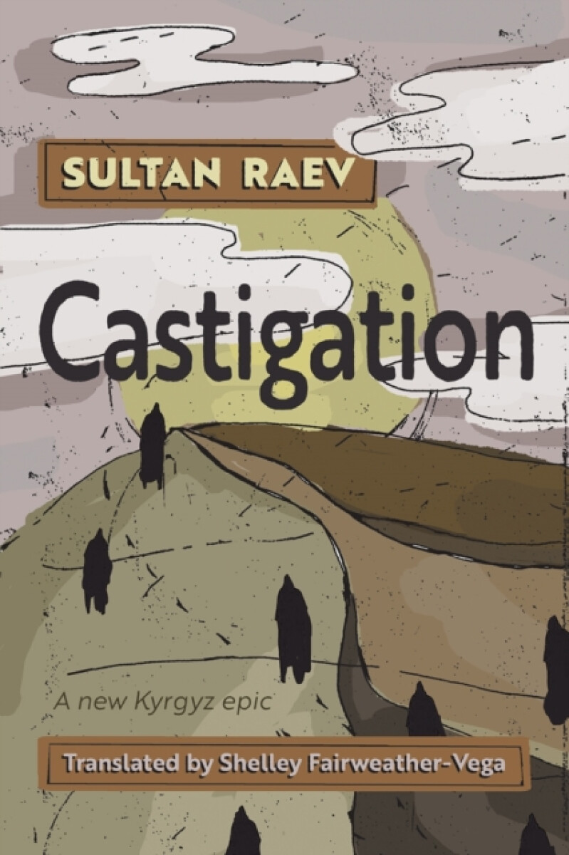 Kniha Castigation