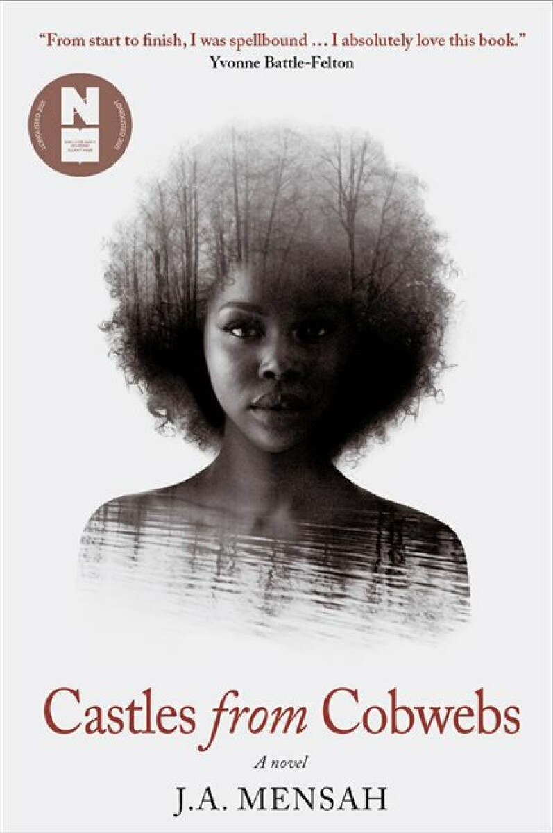 Kniha Castles from Cobwebs