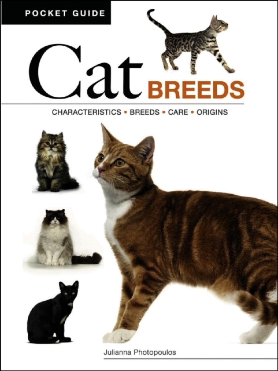 Kniha Cat Breeds
