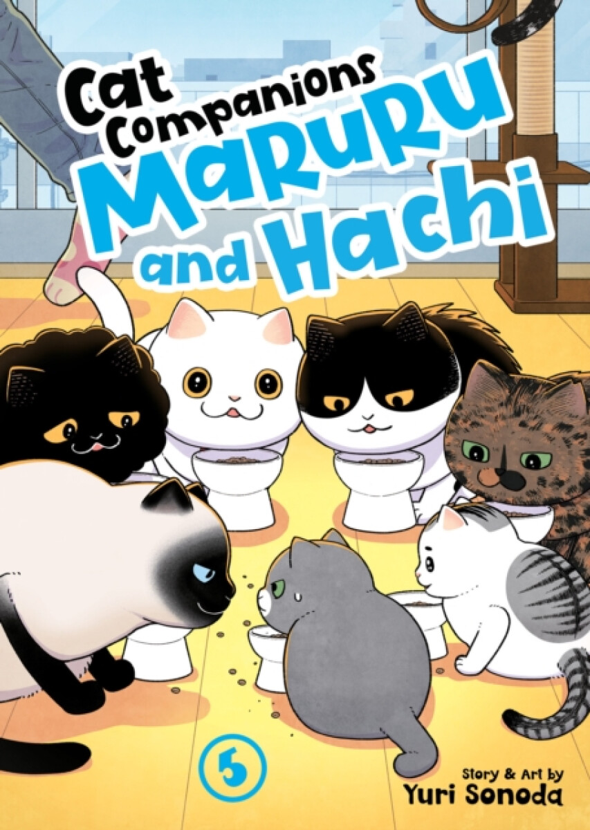 Kniha Cat Companions Maruru and Hachi Vol. 5