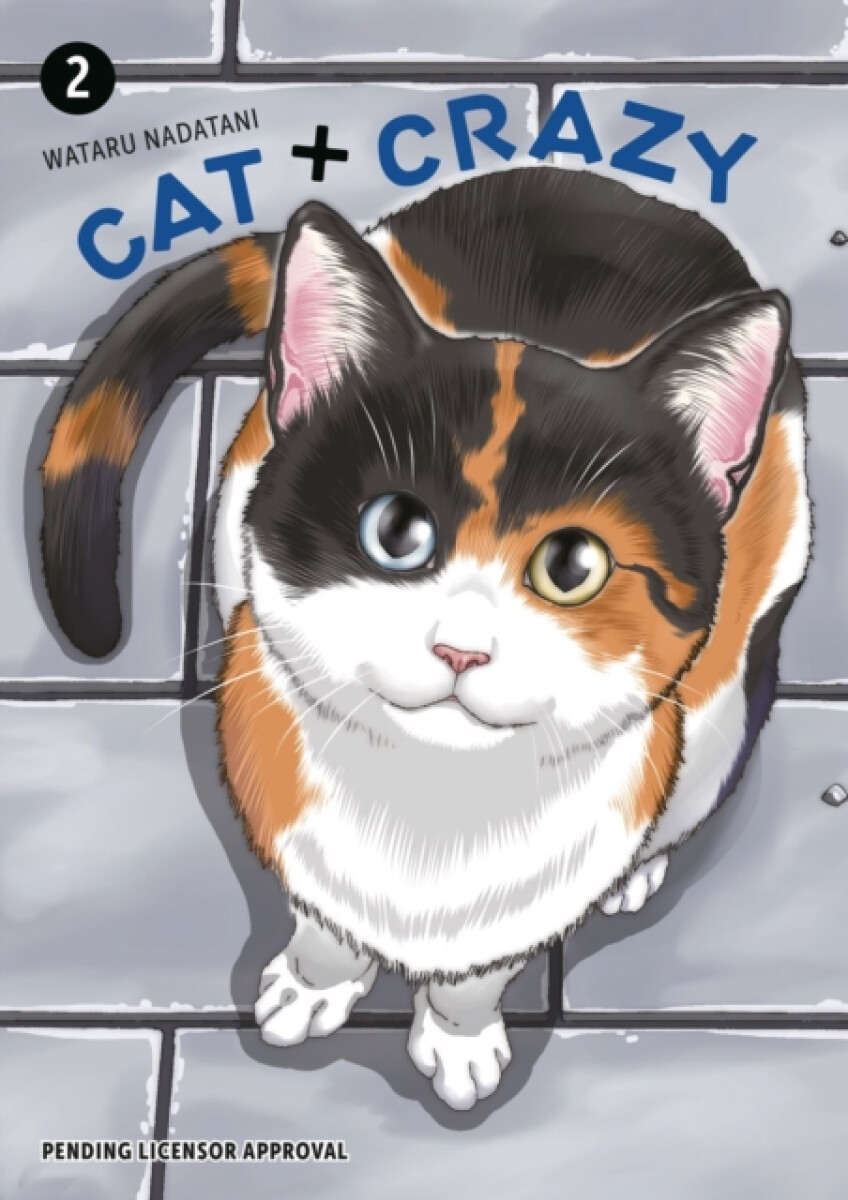 Kniha Cat + Crazy Volume 2