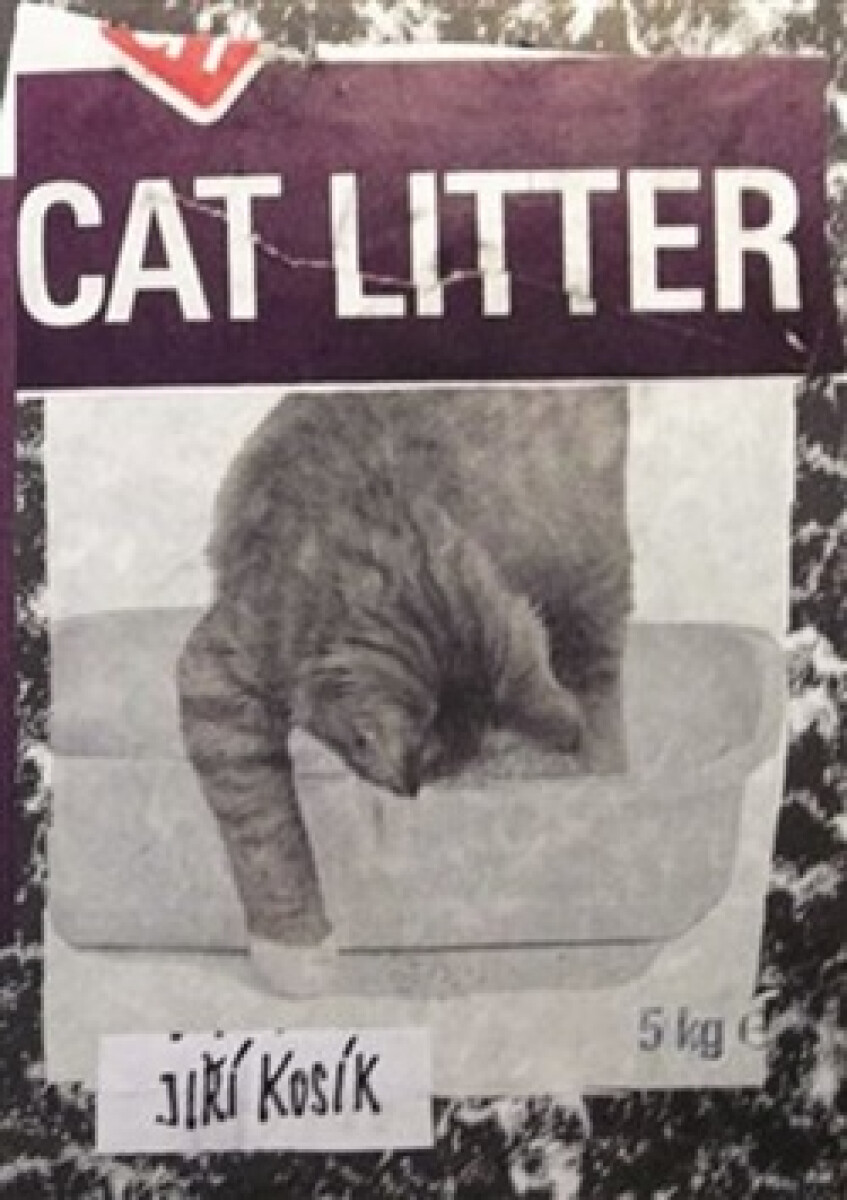 Kniha Cat Litter