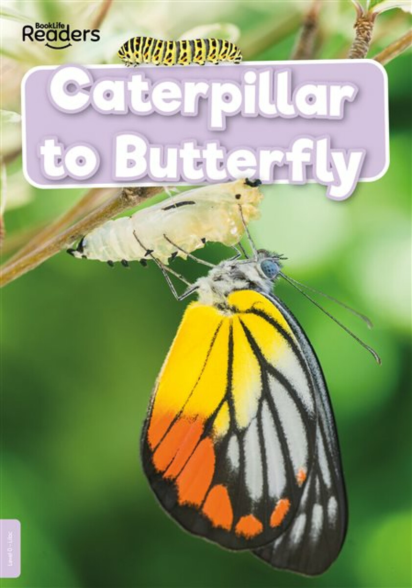 Caterpillar to Butterfly - Anthony William