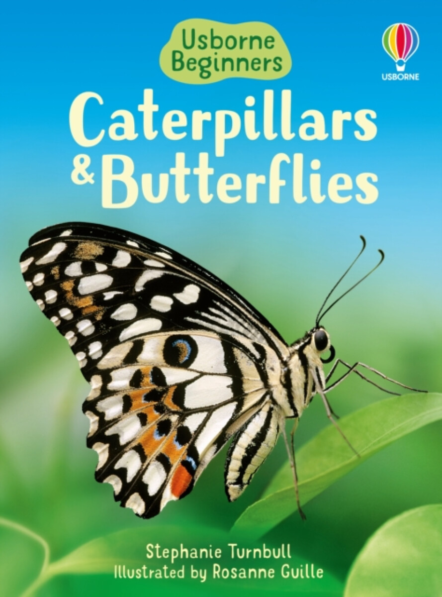 Kniha Caterpillars and Butterflies