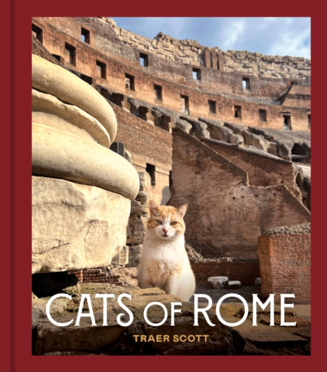 Kniha Cats of Rome