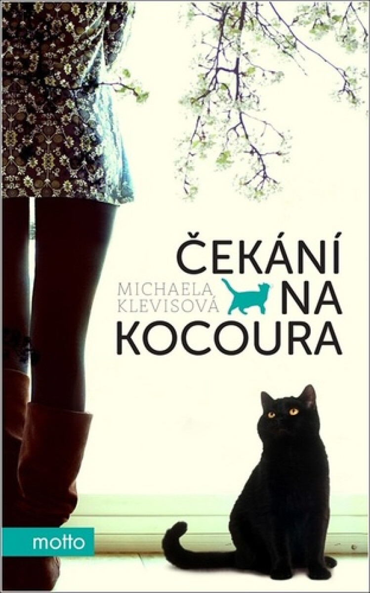 Kniha Čekání na kocoura