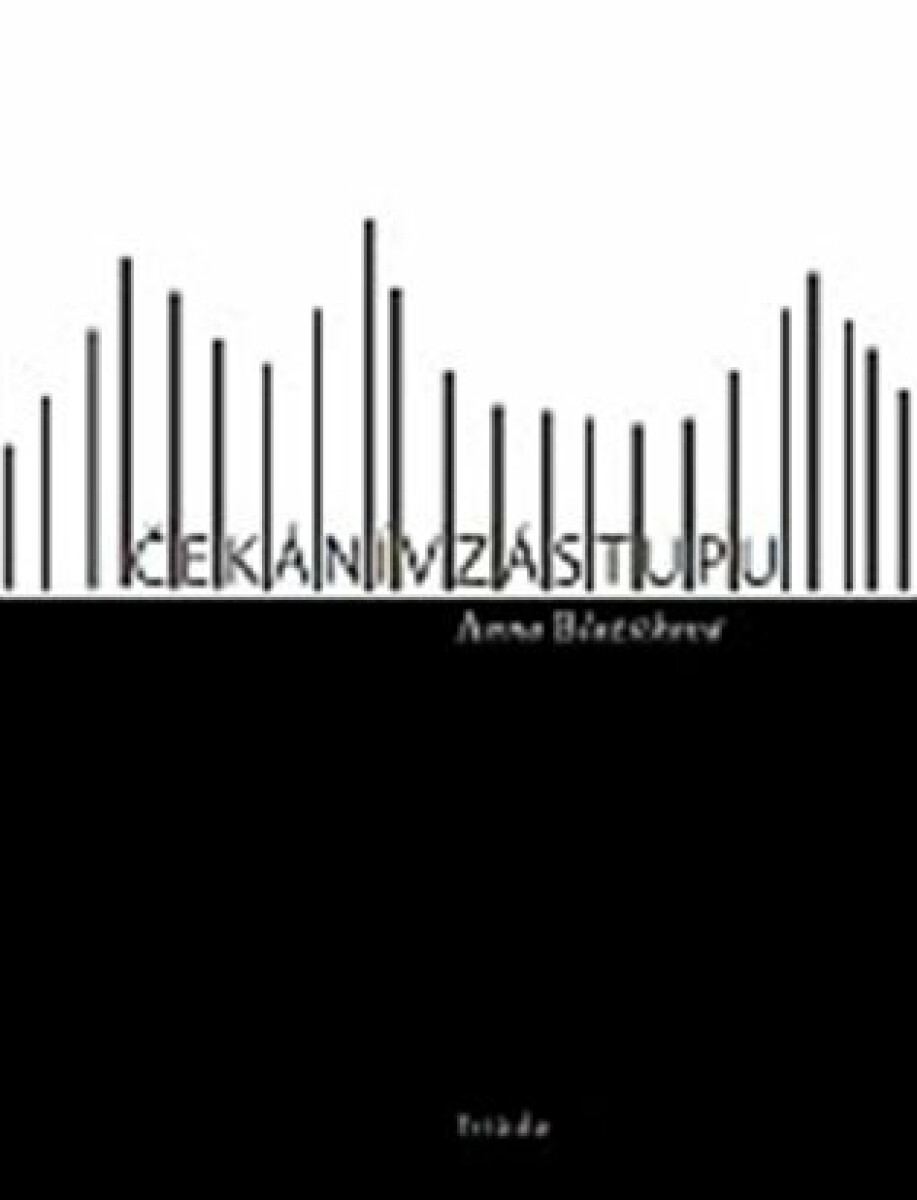 Kniha Čekání v zástupu