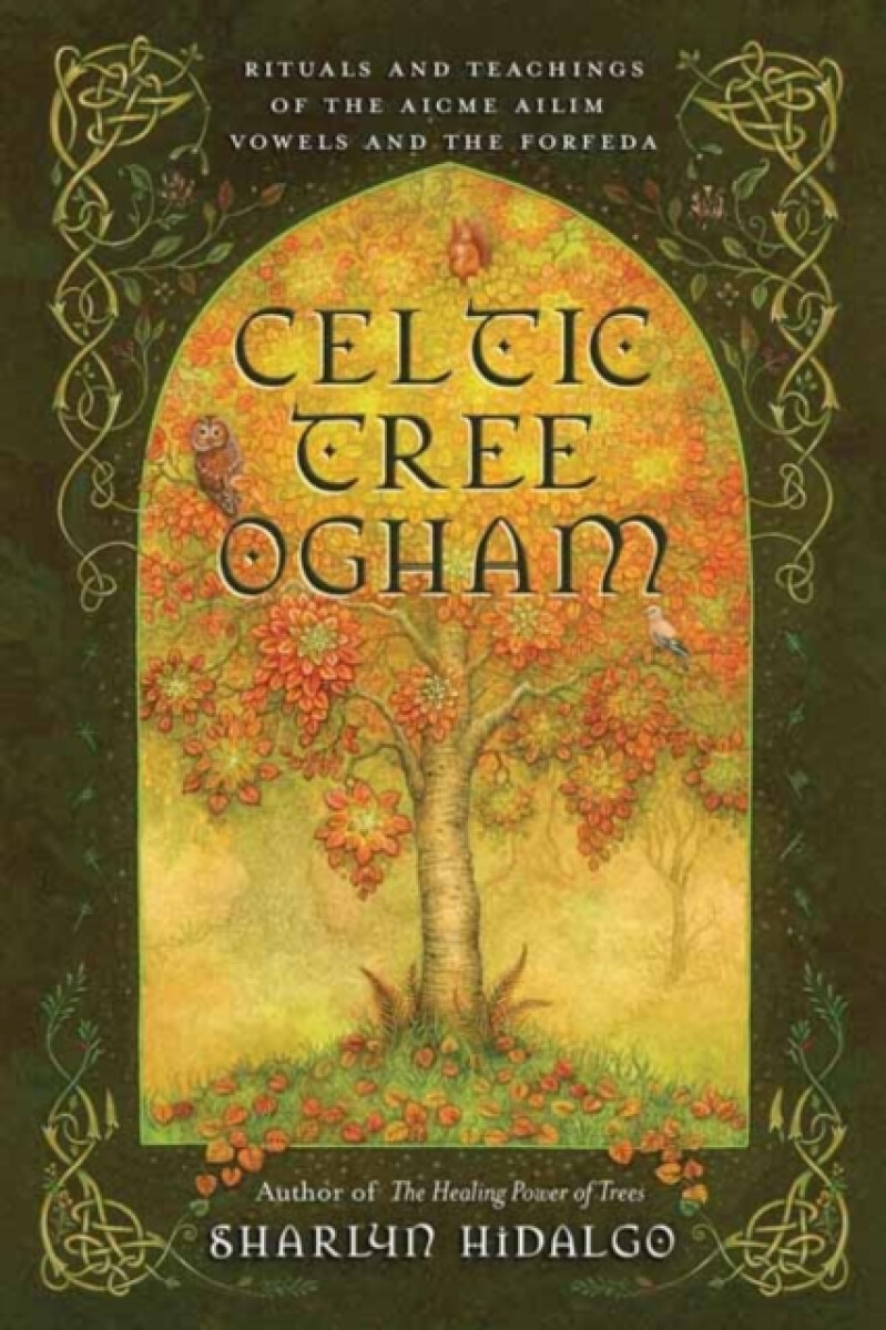 Kniha Celtic Tree Ogham